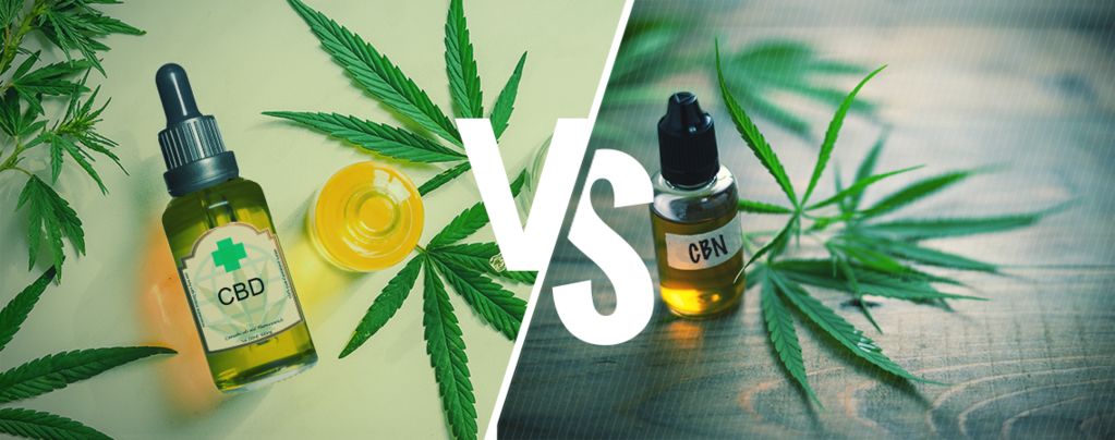 CBD vs CBN: Comparative Research on Sleep Quality