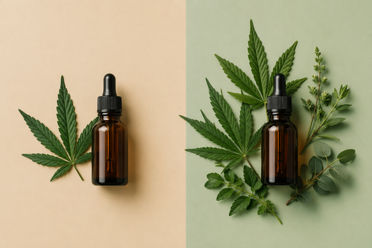 Broad-Spectrum vs Full-Spectrum CBD: Mechanistic Differences