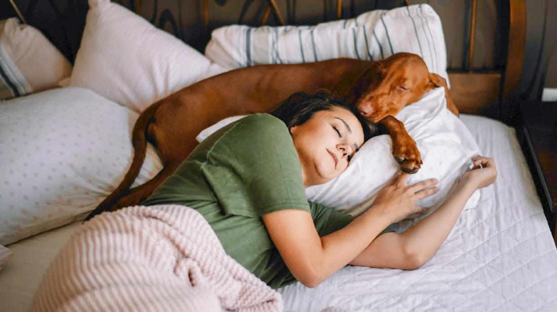 The Science of Non-Habit-Forming Sleep Aids