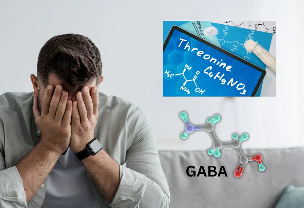 How GABA and L-theanine Calm the Nervous System: Mechanisms, Differences, and the Science Behind Sleep Support